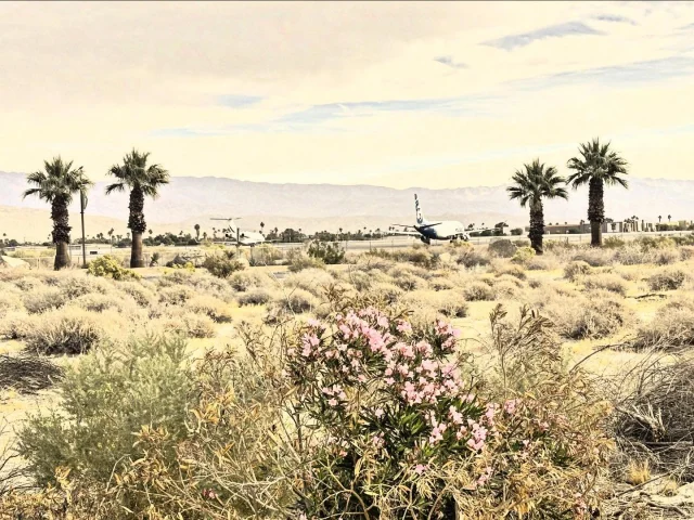 At Palm Springs airport, the desert’s beauty surrounds you. The towering San Jacinto Mountains rise in the distance, while the warm, dry air carries the earthy scent of cacti and sage. The vast, open skies above and the rugged desert landscape create a peaceful, almost timeless atmosphere that welcomes you as soon as you arrive.

🌵
#cactusandlime #palmsprings #coachellavalley #palmspringslife #palmspringsliving #palmspringstyle 
#DesertOasis #visitpalmsprings