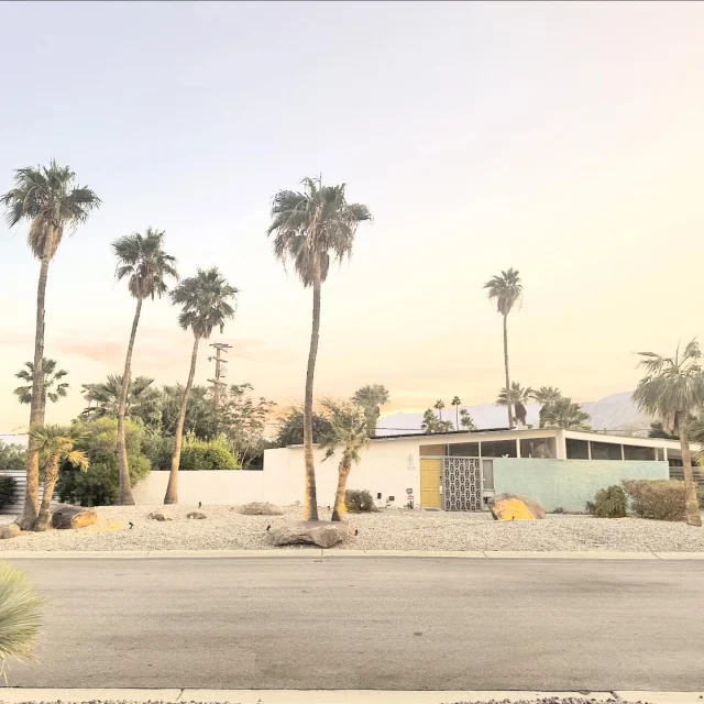 The striking palm trees of Palm Springs stand in perfect contrast to the sleek, mid-century modern architecture, creating a timeless blend of natural beauty and design innovation.

🌵
#cactusandlime #PalmSpringsVibes #MidCenturyModern #PalmSpringsArchitecture #DesertOasis #ModernistDesign #ArchitecturalParadise #SunnyCalifornia #PalmTreesAndSunshine #DesertArchitecture #RetroCalifornia