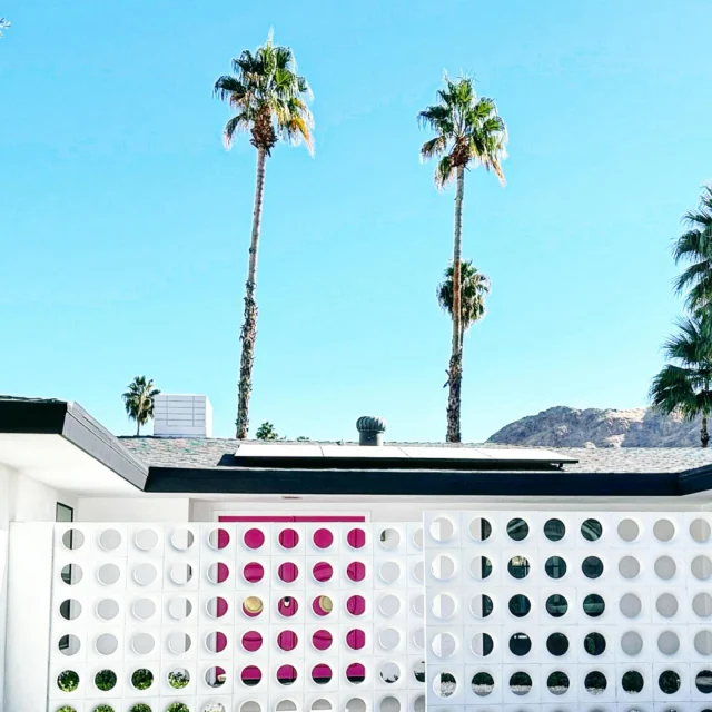 In a dreamy Palm Springs oasis, hues of blue, pink, and white come together to create a strikingly chic yet relaxed aesthetic. The house itself, painted a soft white, reflects the desert sun and gives off a clean, modern vibe, while bold splashes of pastel pink on doors .

🌵
#cactusandlime #palmspringslife #MidCenturyModern #MCM #MidCenturyDesign #Modernism #VintageModern #RetroDesign #MCMHome #MidCenturyArchitecture #DesignInspo #PalmSpringsStyle